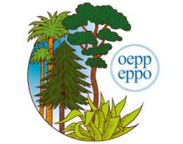 Logo OEPP