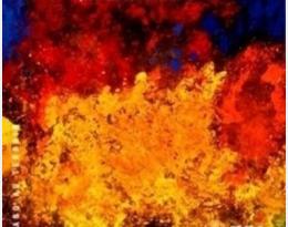 Maladies A Virus Des Plantes Ornementales Ecophytopic