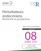 Perturbateurs endocriniens - Recherche et perspectives