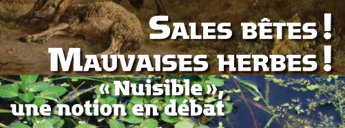 Sales bêtes ! Mauvaises herbes ! «Nuisible», une notion en débat