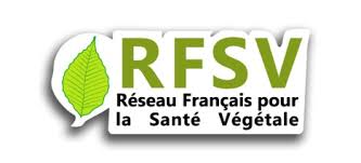 Séminaire RFSV : Invasions biologiques et crises sanitaires, leurs conséquences pour la surveillance et le diagnostic phytosanitaires