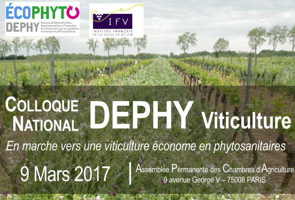 Colloque national DEPHY Viticulture: En marche vers une viticulture économe en phytosanitaires