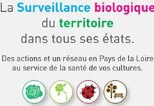 Colloque "La surveillance biologique du territoire dans tous ses états"