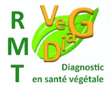 Séminaire sur le diagnostic en santé des végétaux