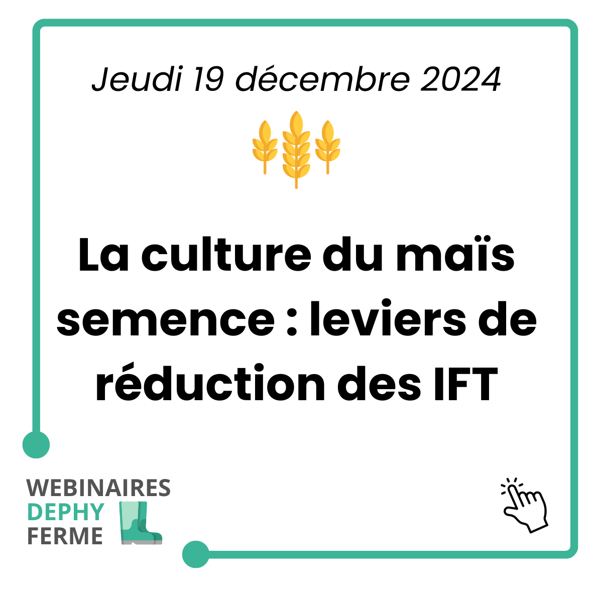vignette épisode wdf 19/12