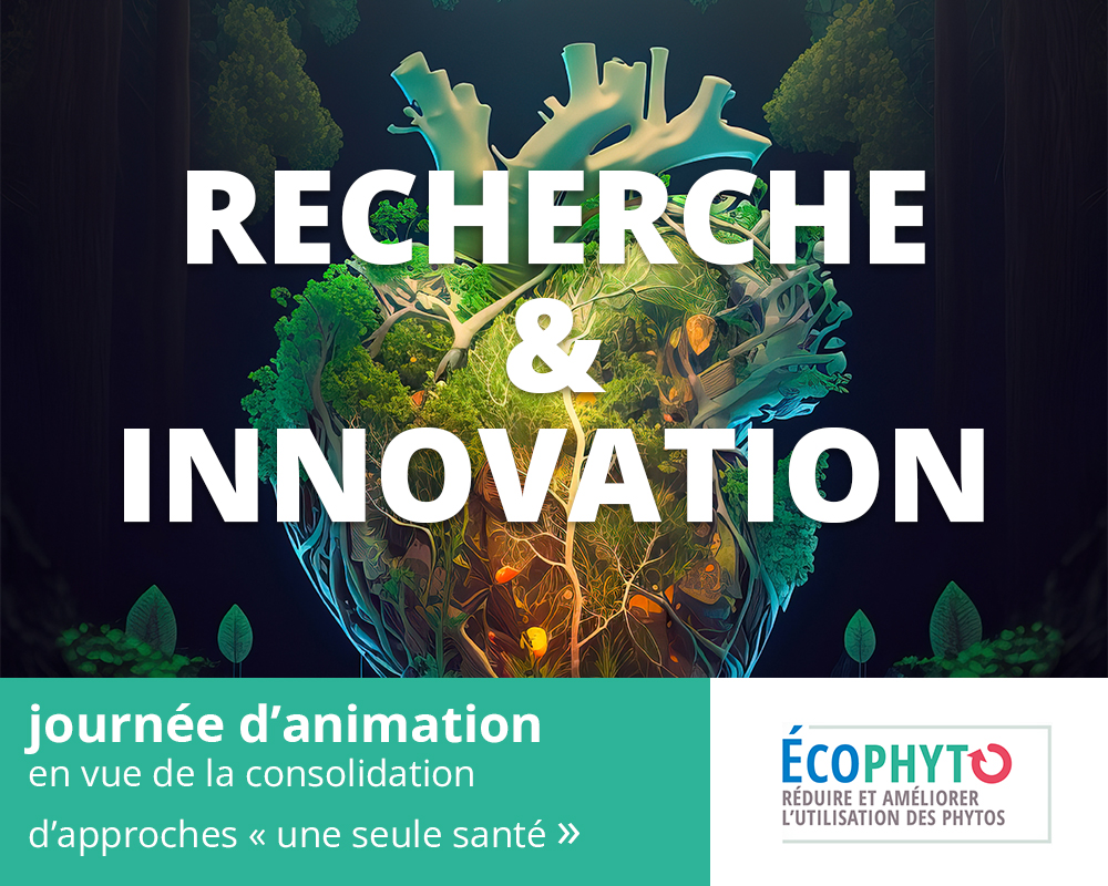 Journée d'animation Ecophyto R&I vers une approche "Une Seule Santé"