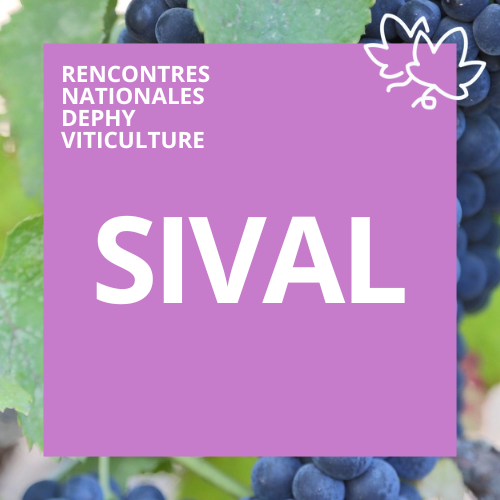 Sival