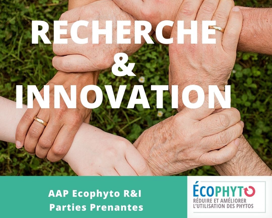 Colloque "partage du risque sur la chaîne de valeur"