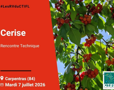 Rencontre technique cerise CTIFL #LesRVduCTIFL