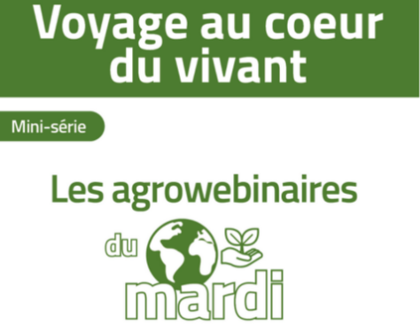 AGROWEBINAIRE du mardi