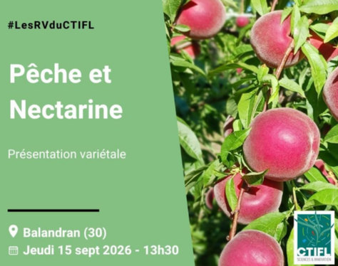 Présentation Variétale Pêche et Nectarine | LES RV DU CTIFL