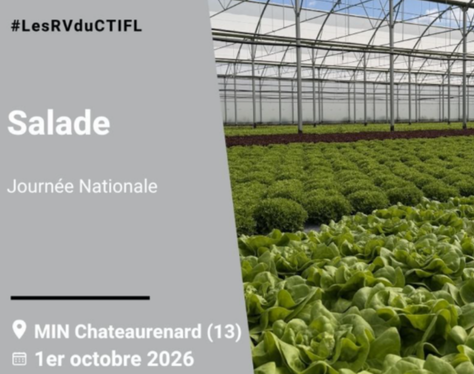 Journée nationale salade 2026 | LES RV DU CTIFL