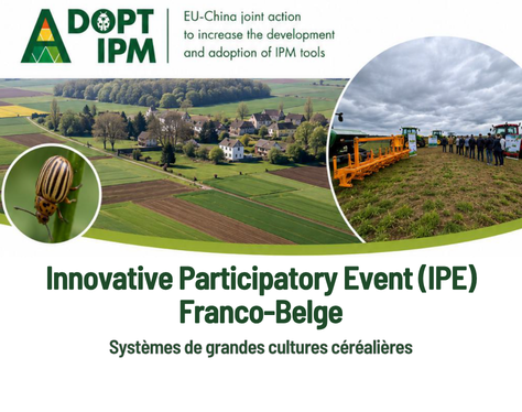 ADOPT IPM webinaire