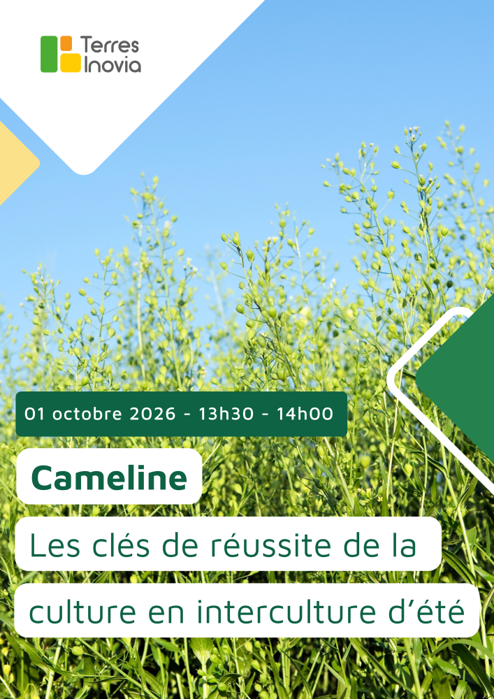 Webinaire Terres Inovia