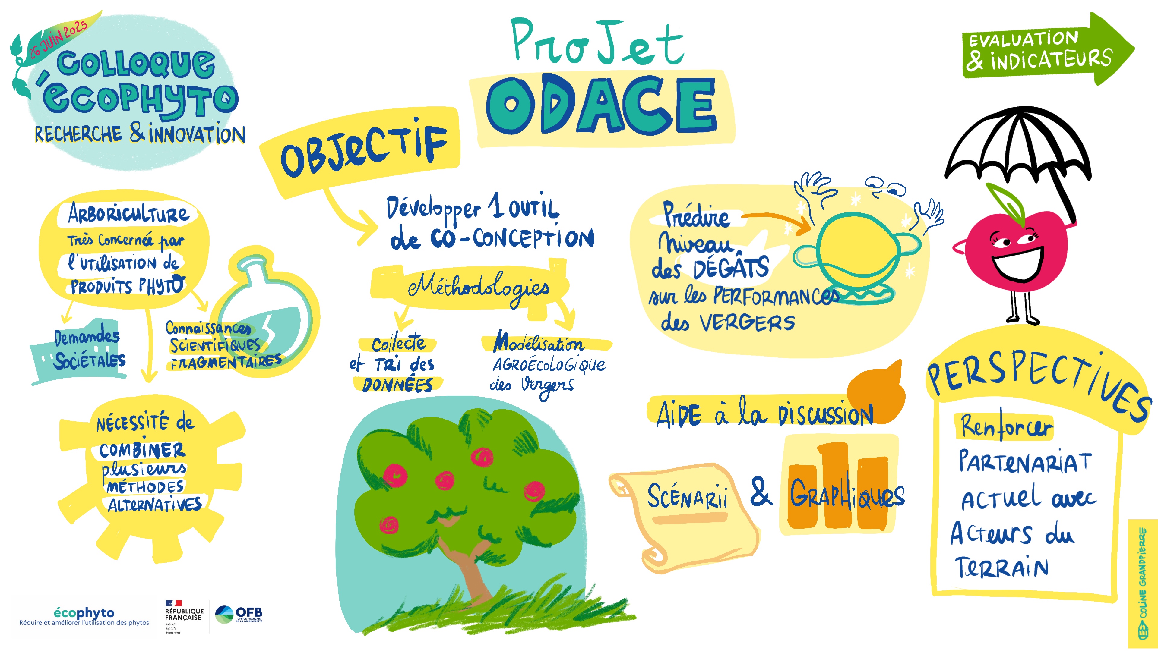 ODACE - Synthèse illustrée