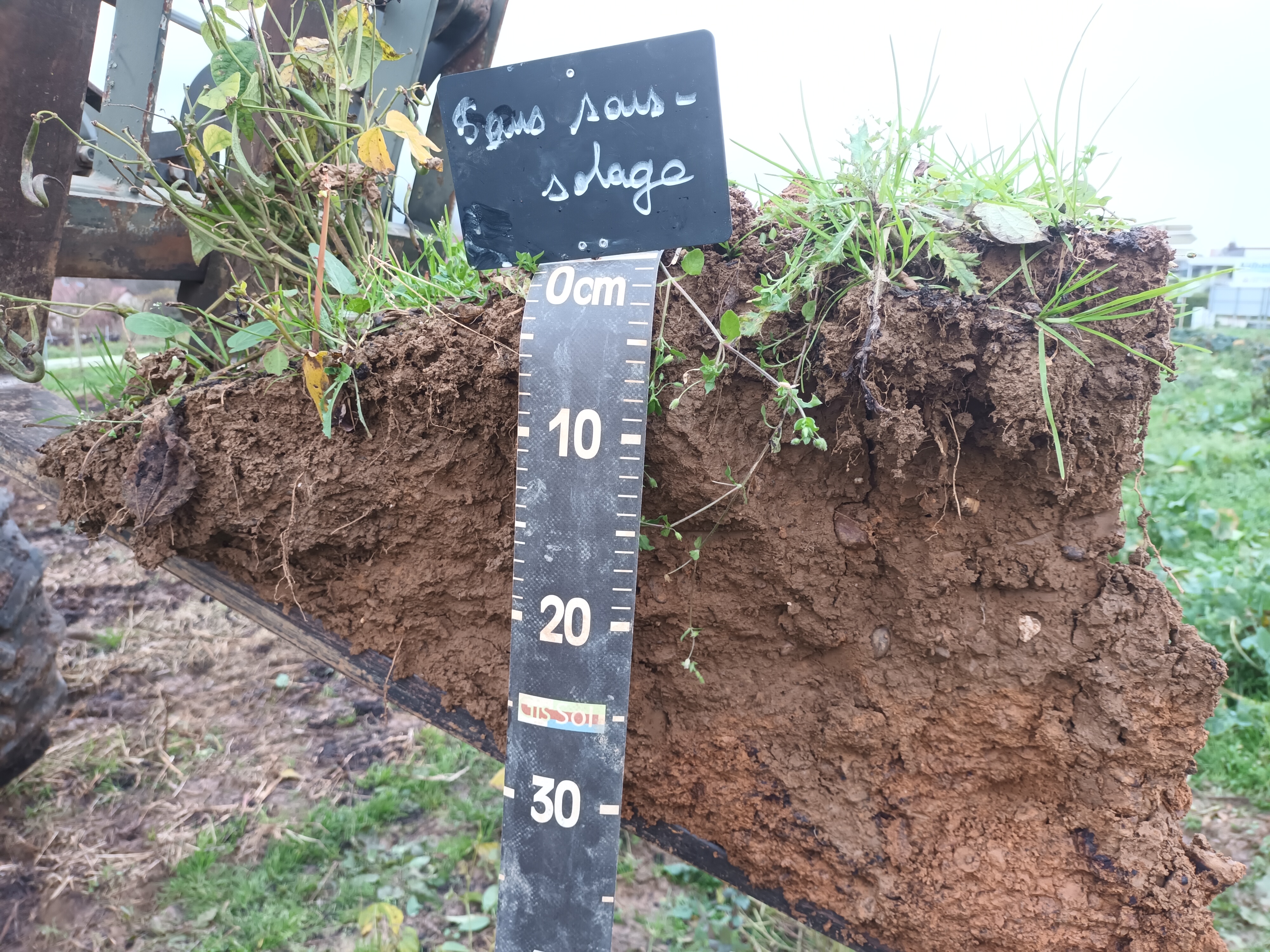 Observations profils structures de sol 2