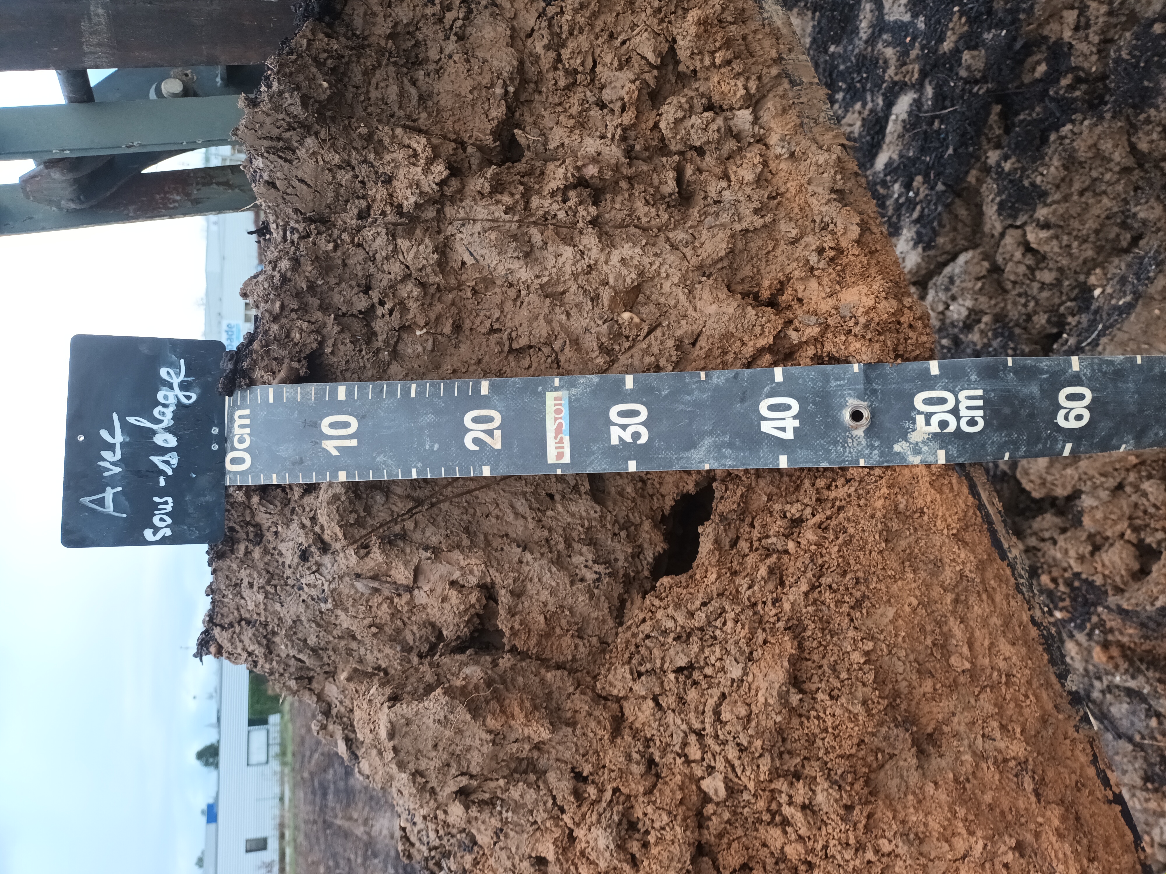 Observations profils structures de sol 1