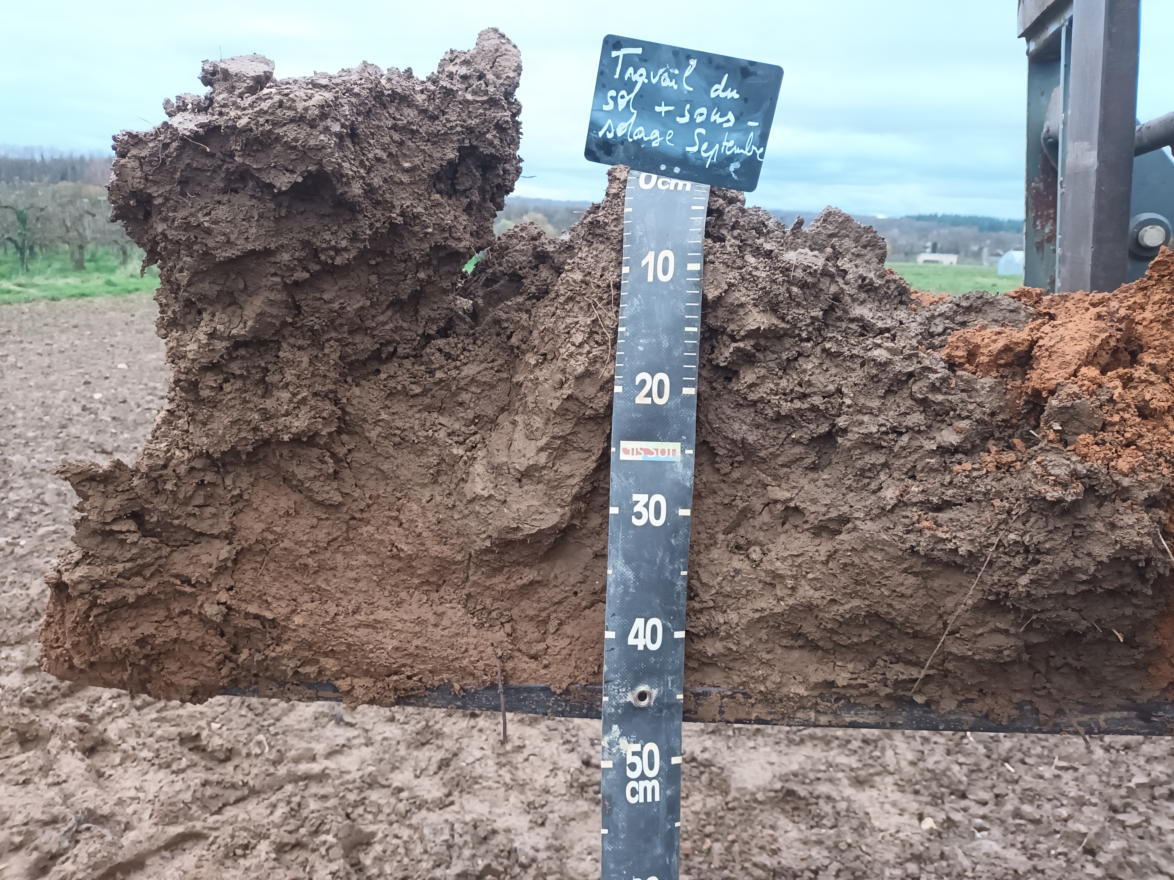 Observations profils structures de sol 3