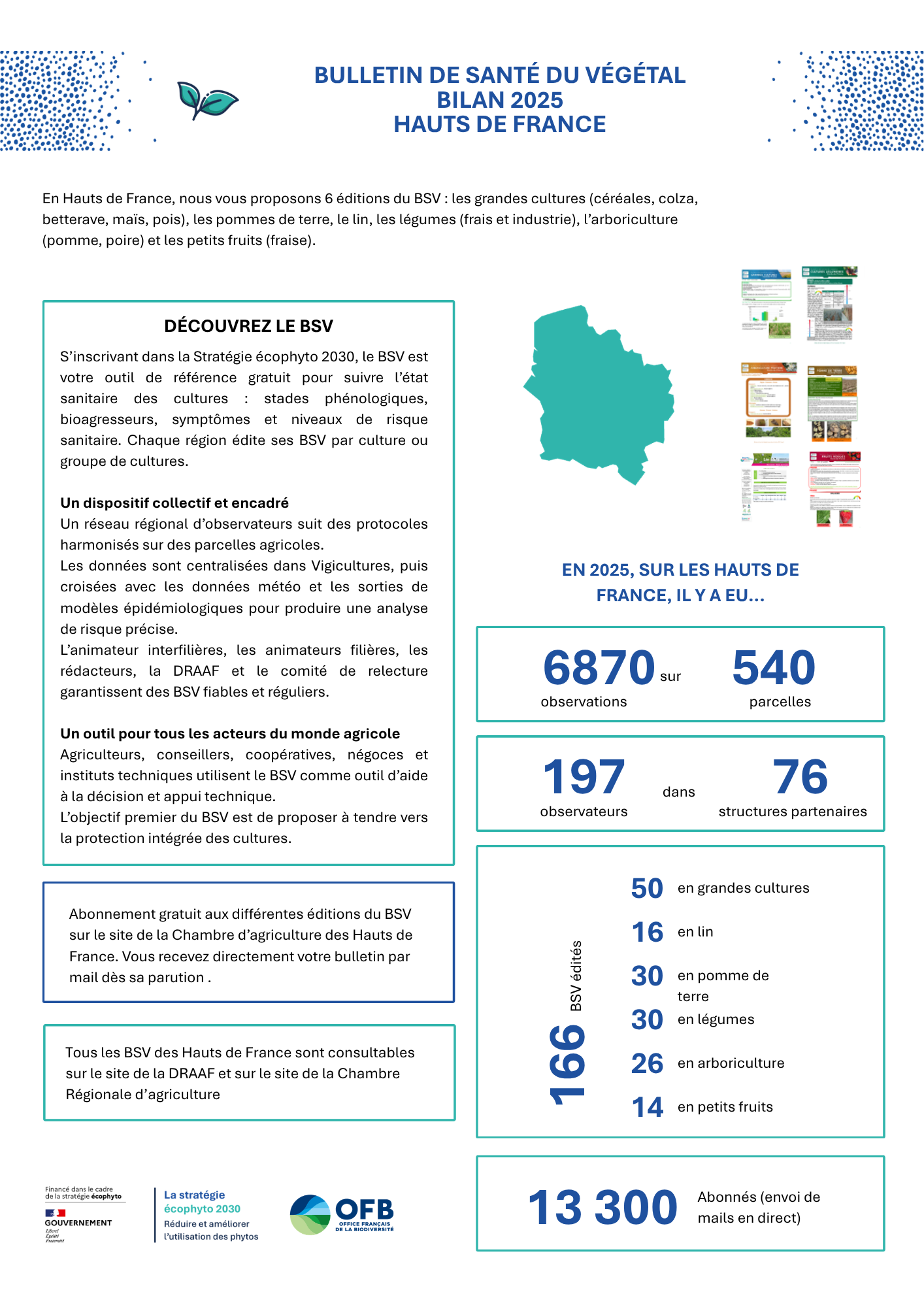 BSV bilan 2025 HDF
