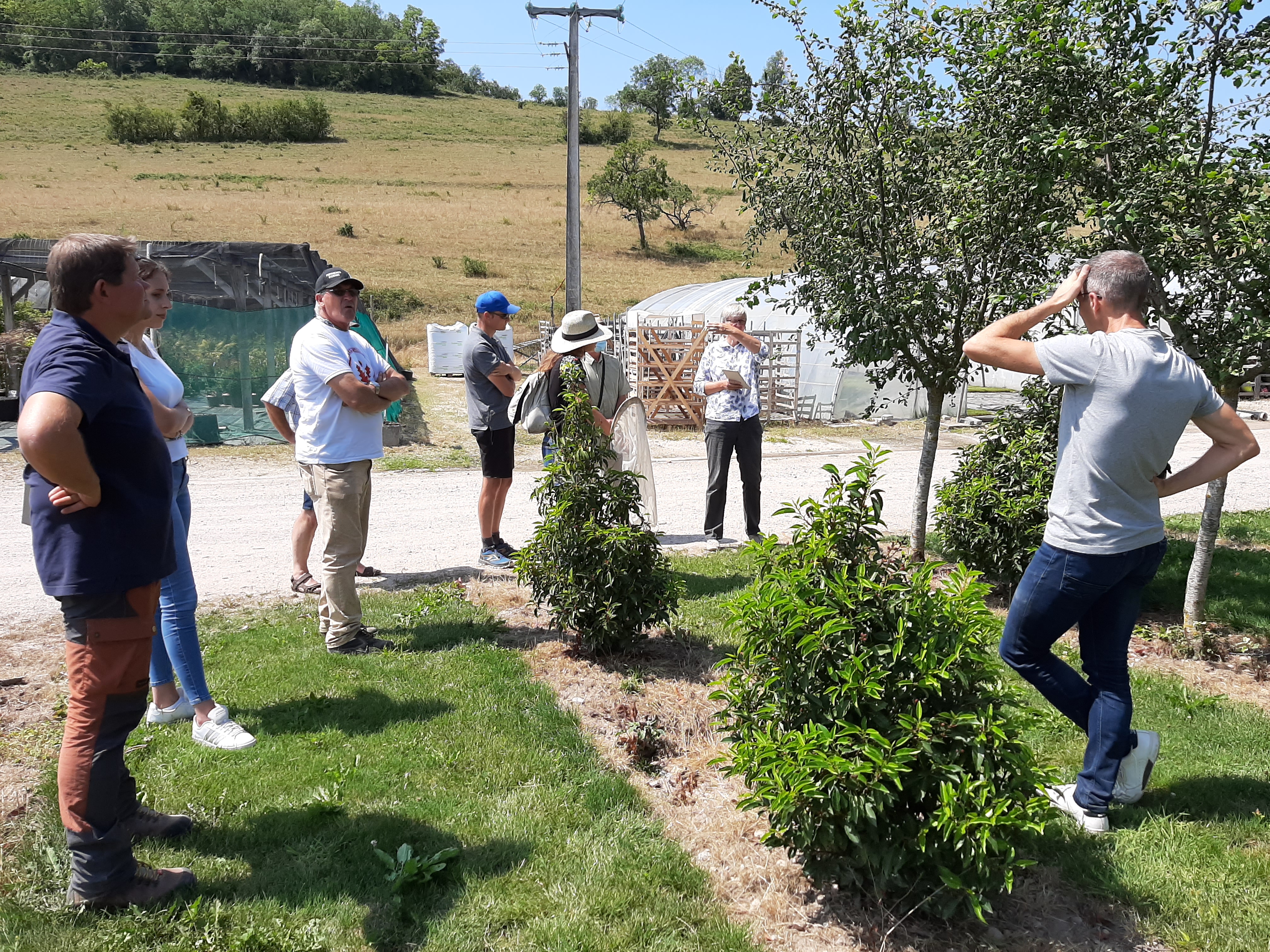 Journée reconnaissance des auxiliaires 