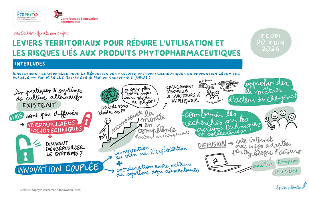 Synthèse graphique du projet INTERLUDE réalisée par louise Plantin lors du Carrefour de l'Innovation Agronomique de restitutiuon finale du projet (2024)