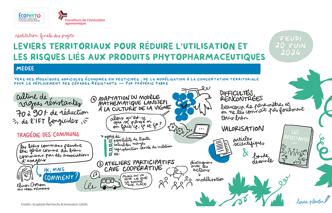 Synthèse graphique du projet MÉDÉE réalisée par Louise Plantin lors du Carrefour de l'Innovation Agronomique de restitution finale du projet (2024)