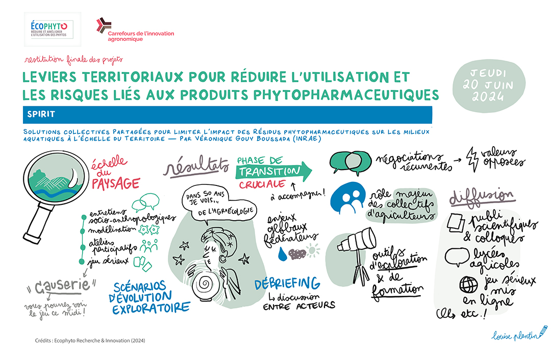 Synthèse graphique du projet SPIRIT réalisée par Louise Plantin lors du Carrefour de l'Innovation Agronomique de restitution finale du projet (2024)