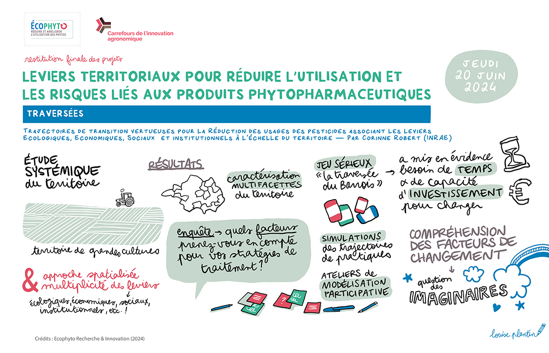 Synthèse graphique du projet TRAVERSEES réalisée par Louise Plantin lors du Carrefour de l'Innovation Agronomique de restitution finale du projet (2024)