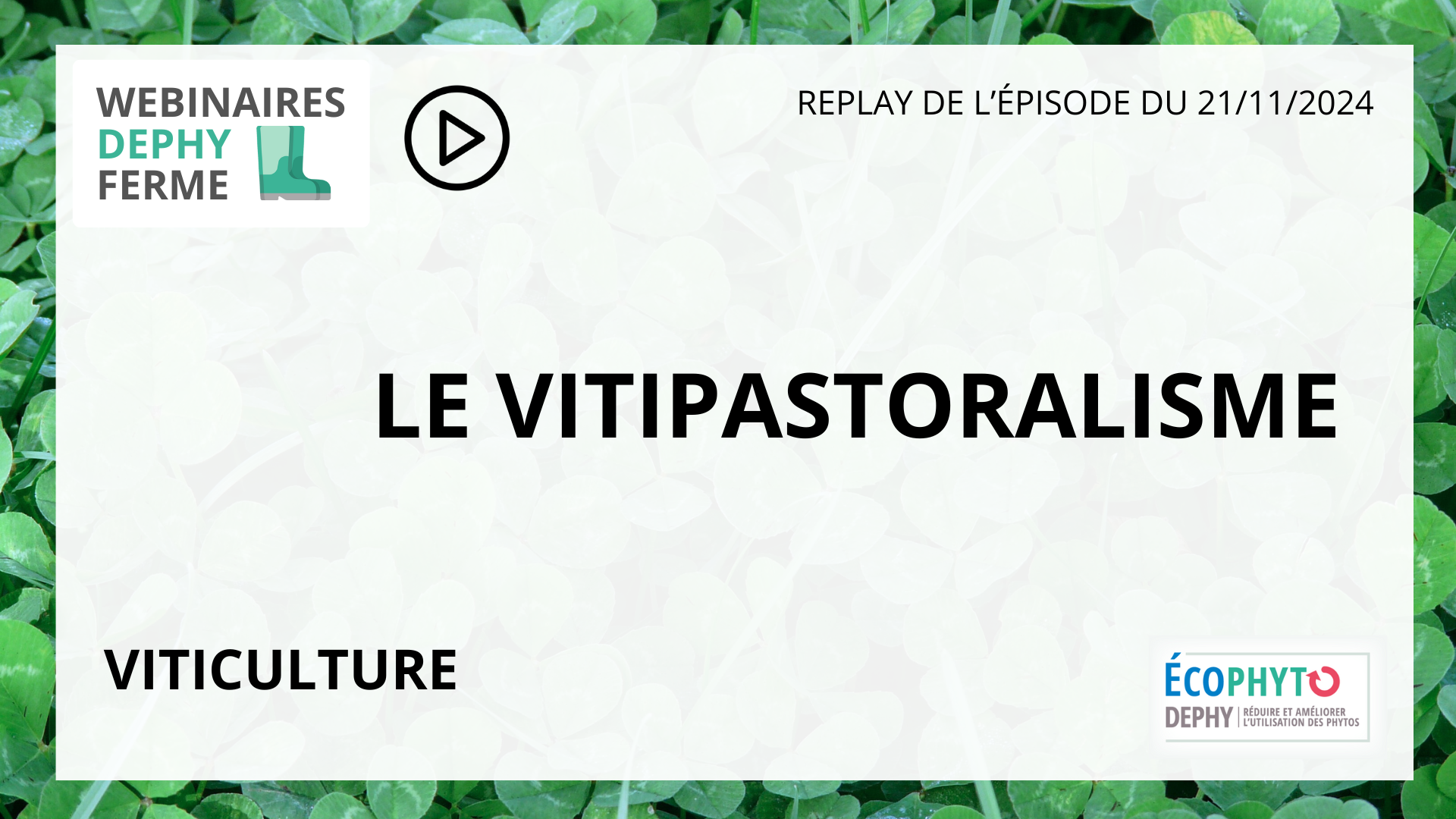 Replay vitipastoralisme