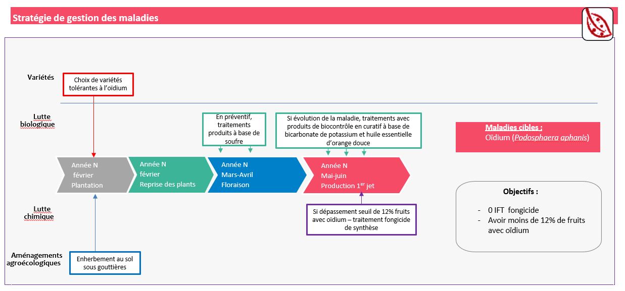 Gestion des maladies