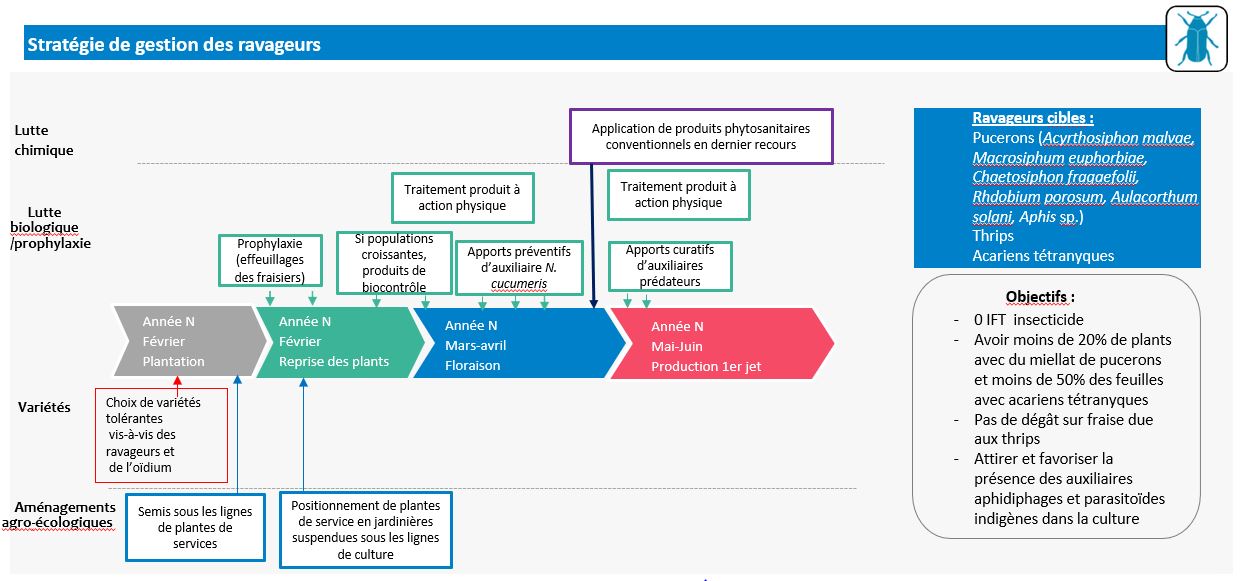 Stratégie de gestion des ravageurs