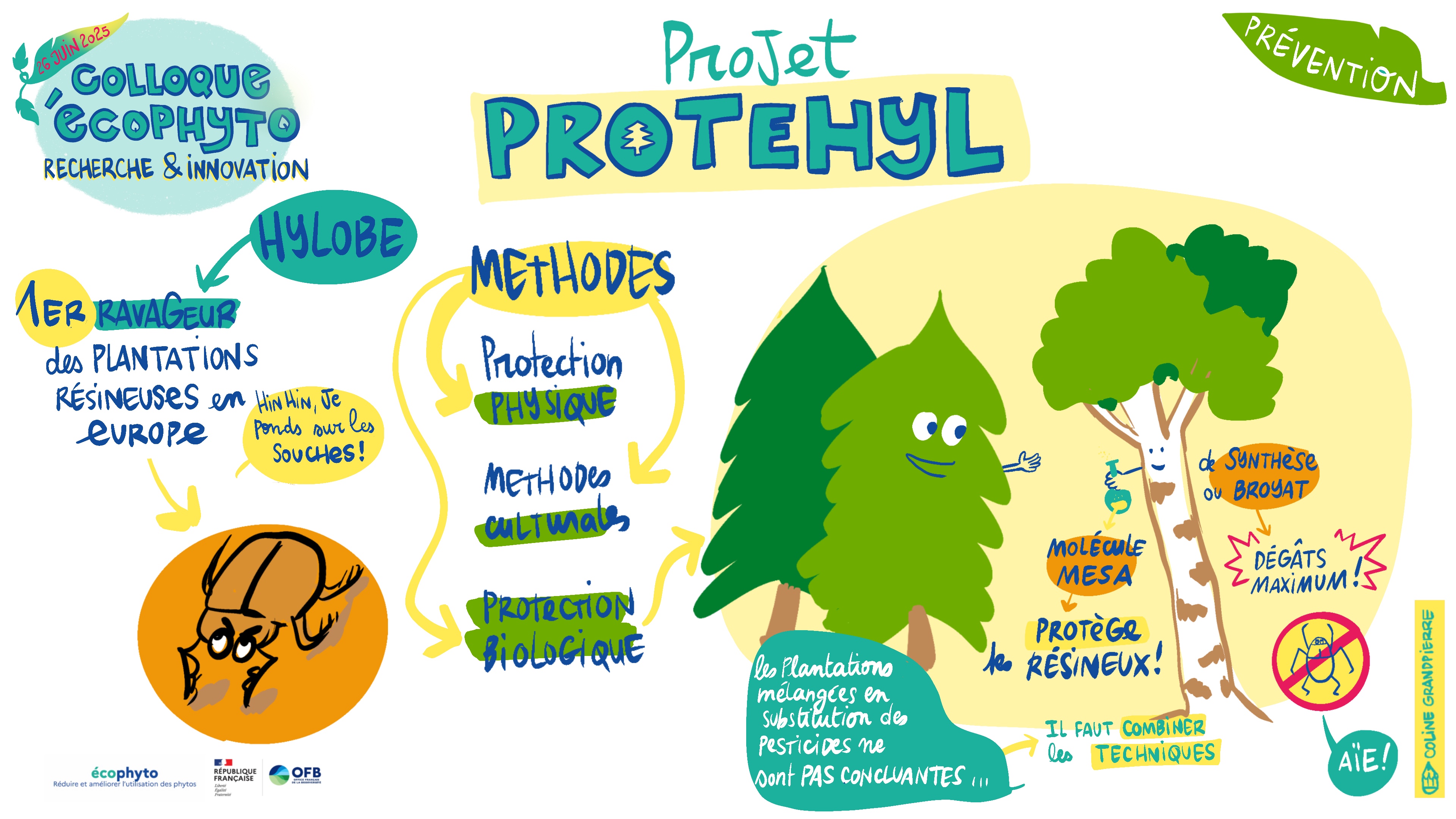 PROTEHYL- Synthèse illustrée