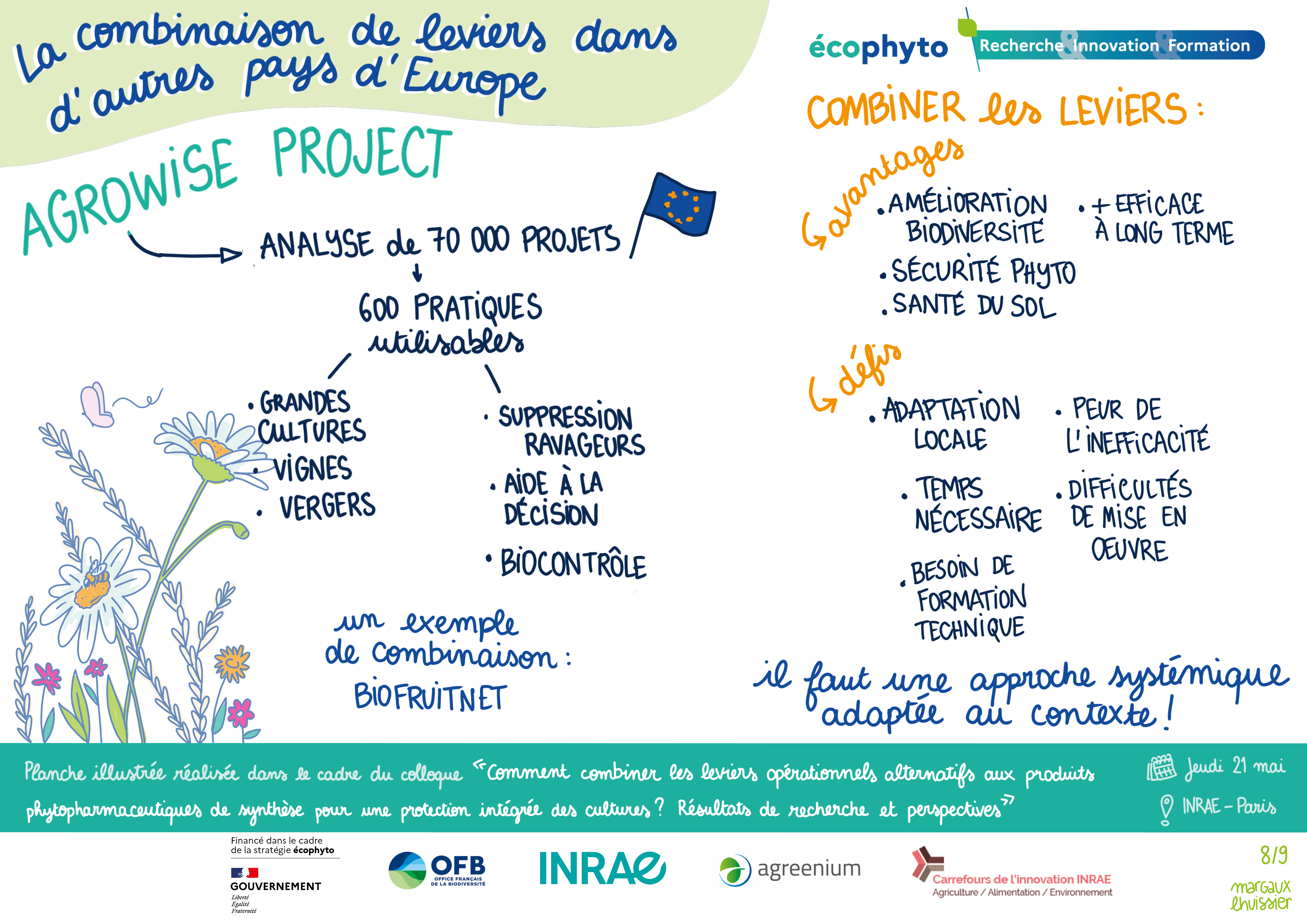 facilitation graphique