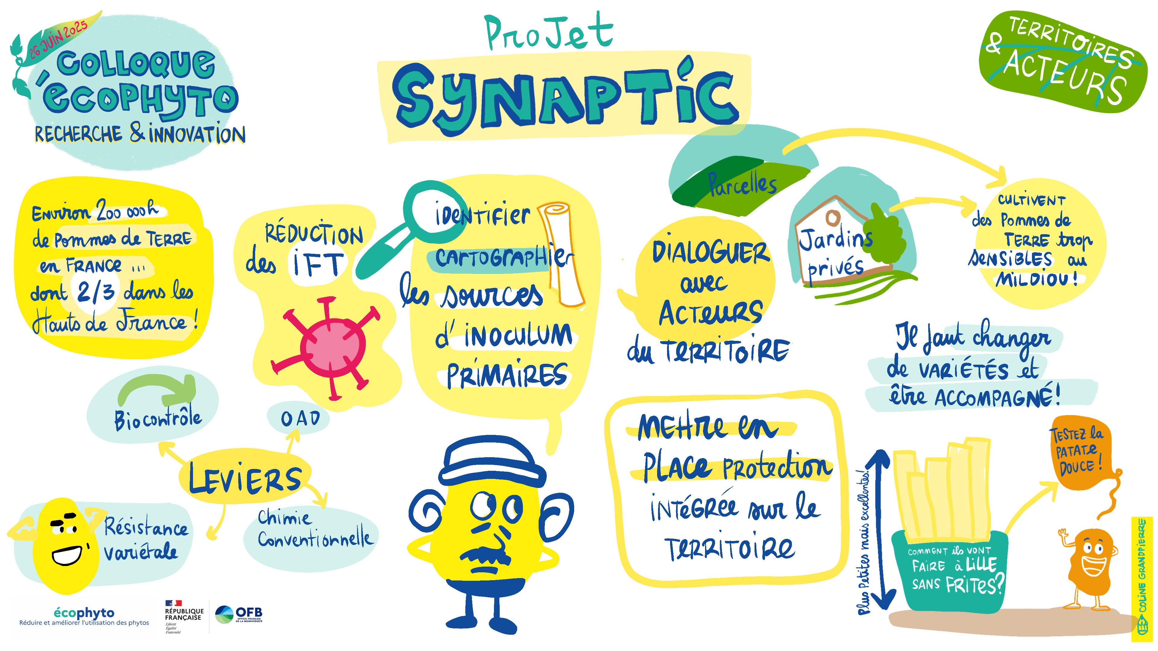 SYNAPTIC - Synthèse illustrée