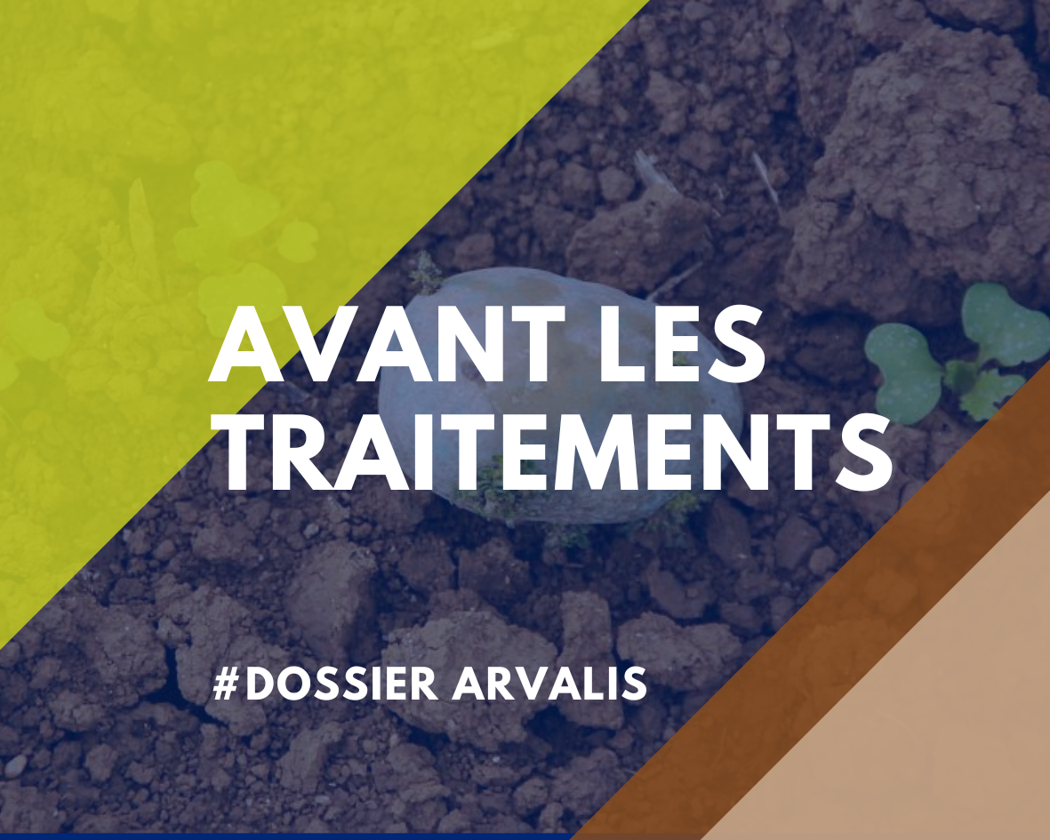 Avant les traitements