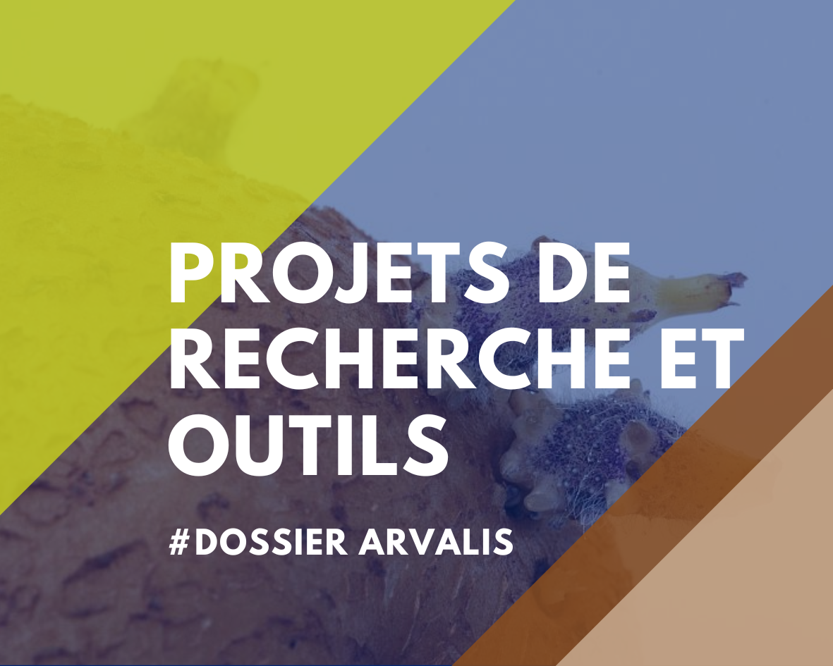 Arvalis 4.4