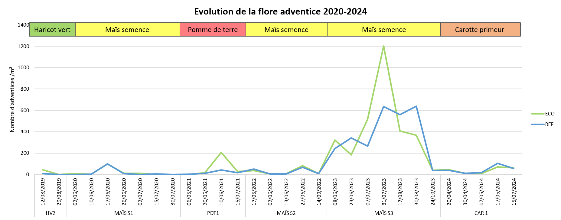 Evolution de la flore adventice AlterCarot - Site 1