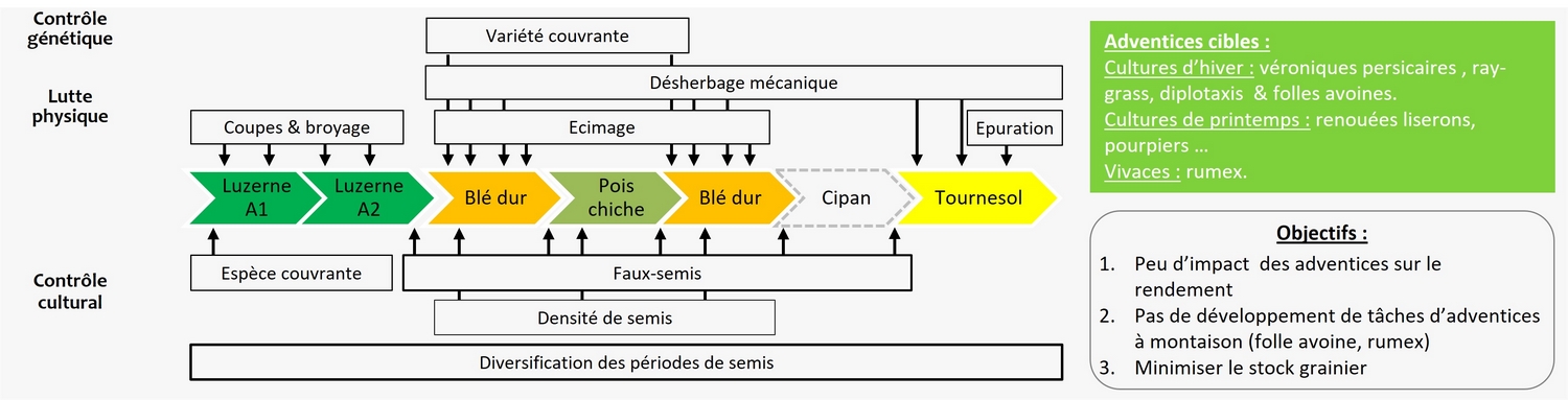 Schéma décisionnel de gestion des adventices de l'essai Rés0Pest de Mauguio