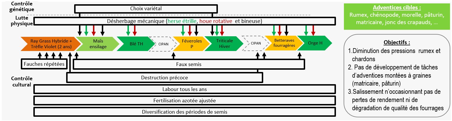 Schéma décisionnel simplifié de gestion des adventices dans le système de culture Rés0Pest du Rheu