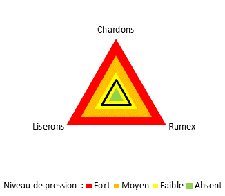 Adventices graphique