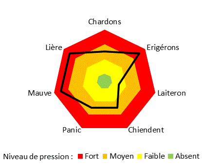 Pressions des différentes adventices sur le site SudExpé - Saint-Gilles