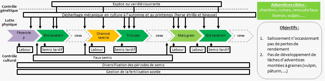 Schéma décisionnel de gestion des adventices dans le système de culture de Grignon