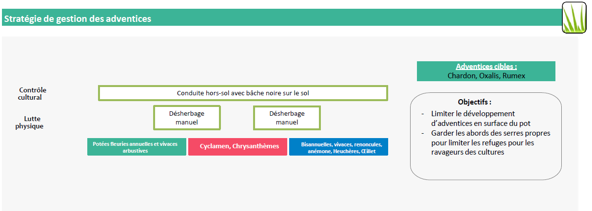 Stratégie de gestion des adventices