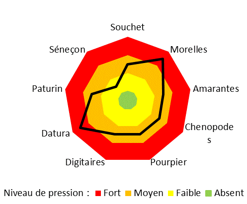 Niveaux de pression adventices du site 3 Nouvelle Aquitaine du projet AlterCarot