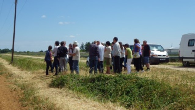 Image d'un groupe d'agriculteurs en visite sur l'essai Rés0Pest de Mauguio