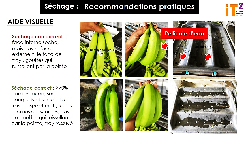 Séchage des fruits