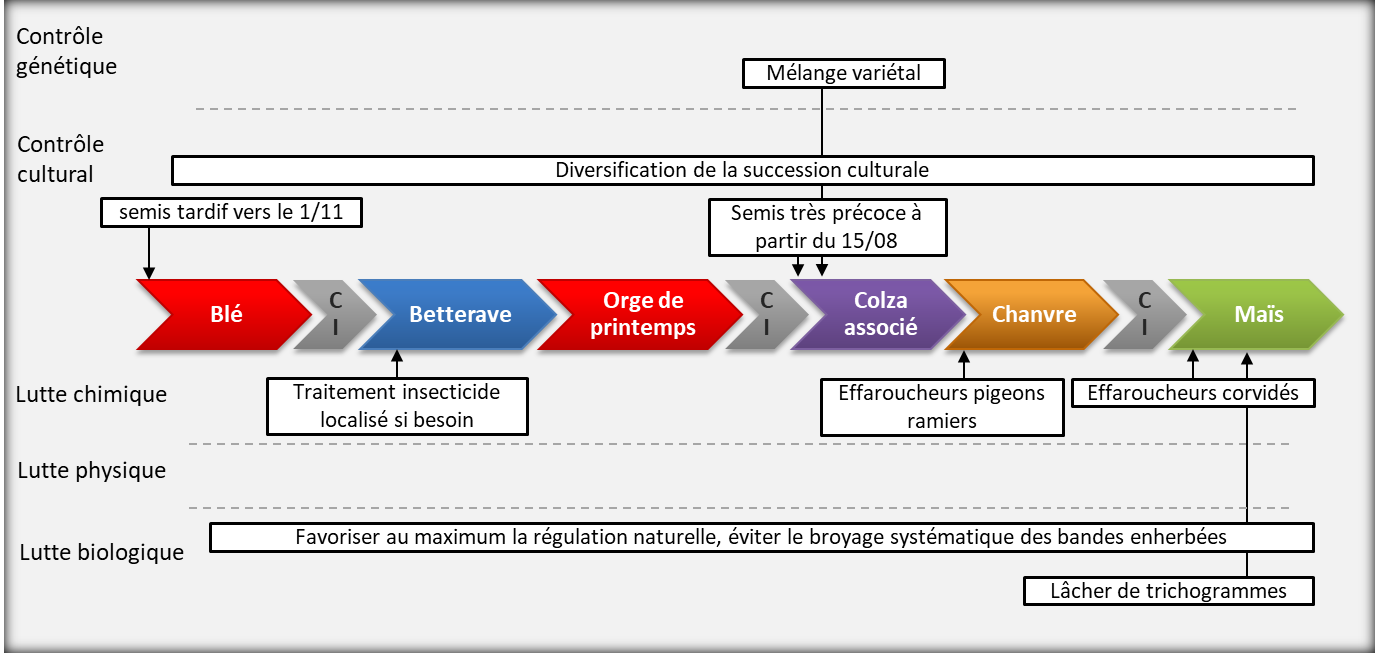 schéma décisionnel de gestion des ravageurs système B2