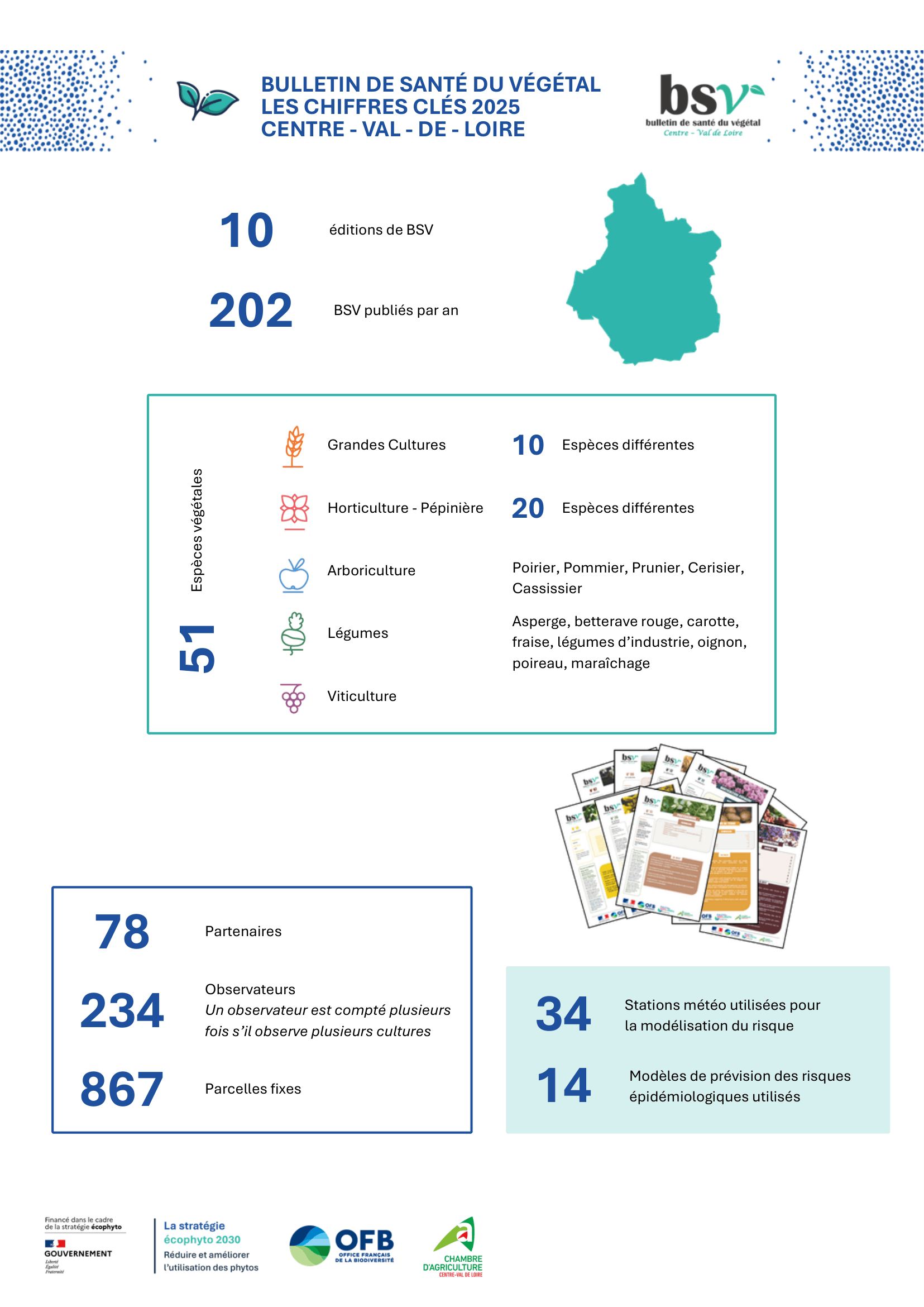 BSV Bilan 2025 CVDL