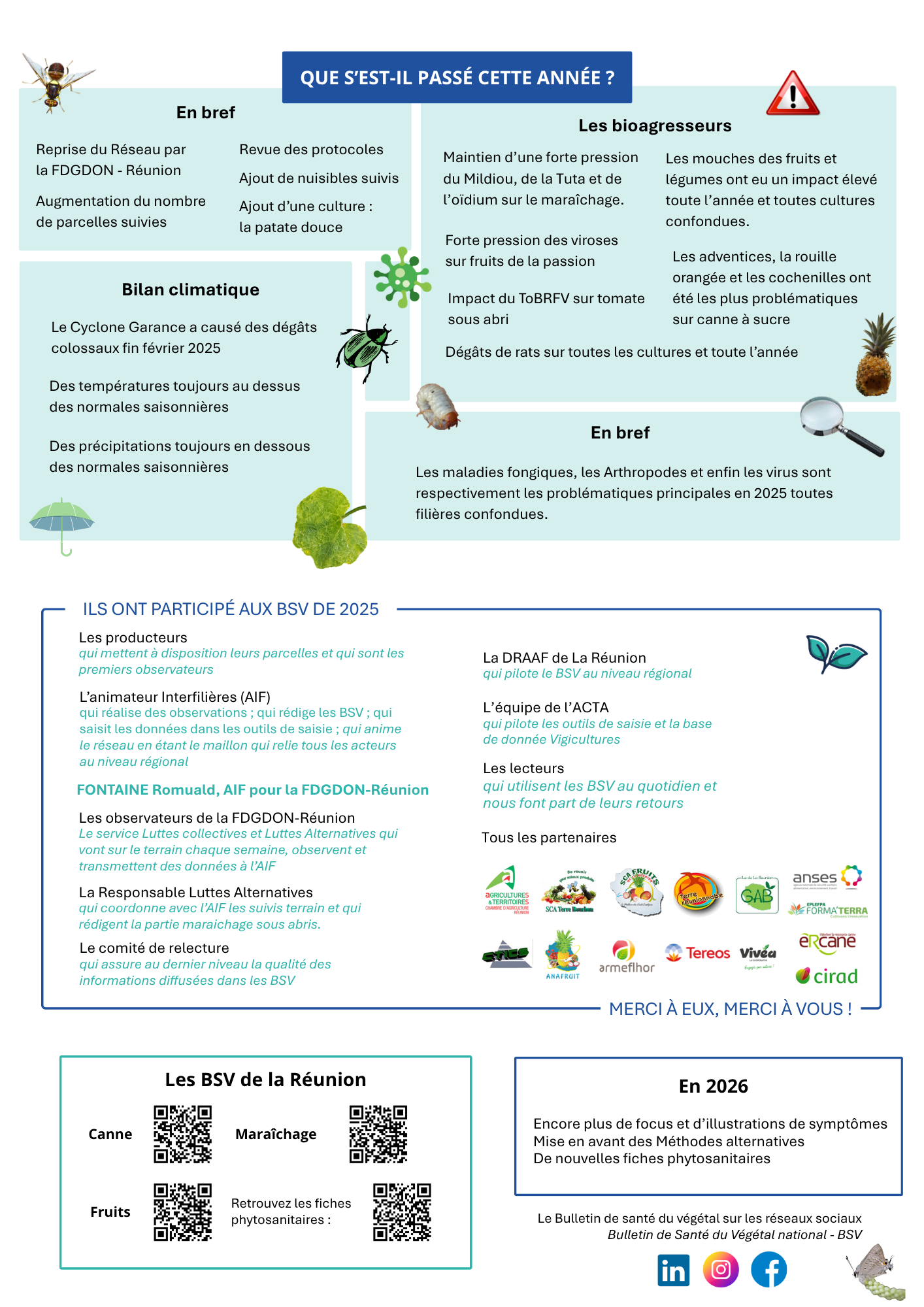 BSV bilan 2025 La Réunion