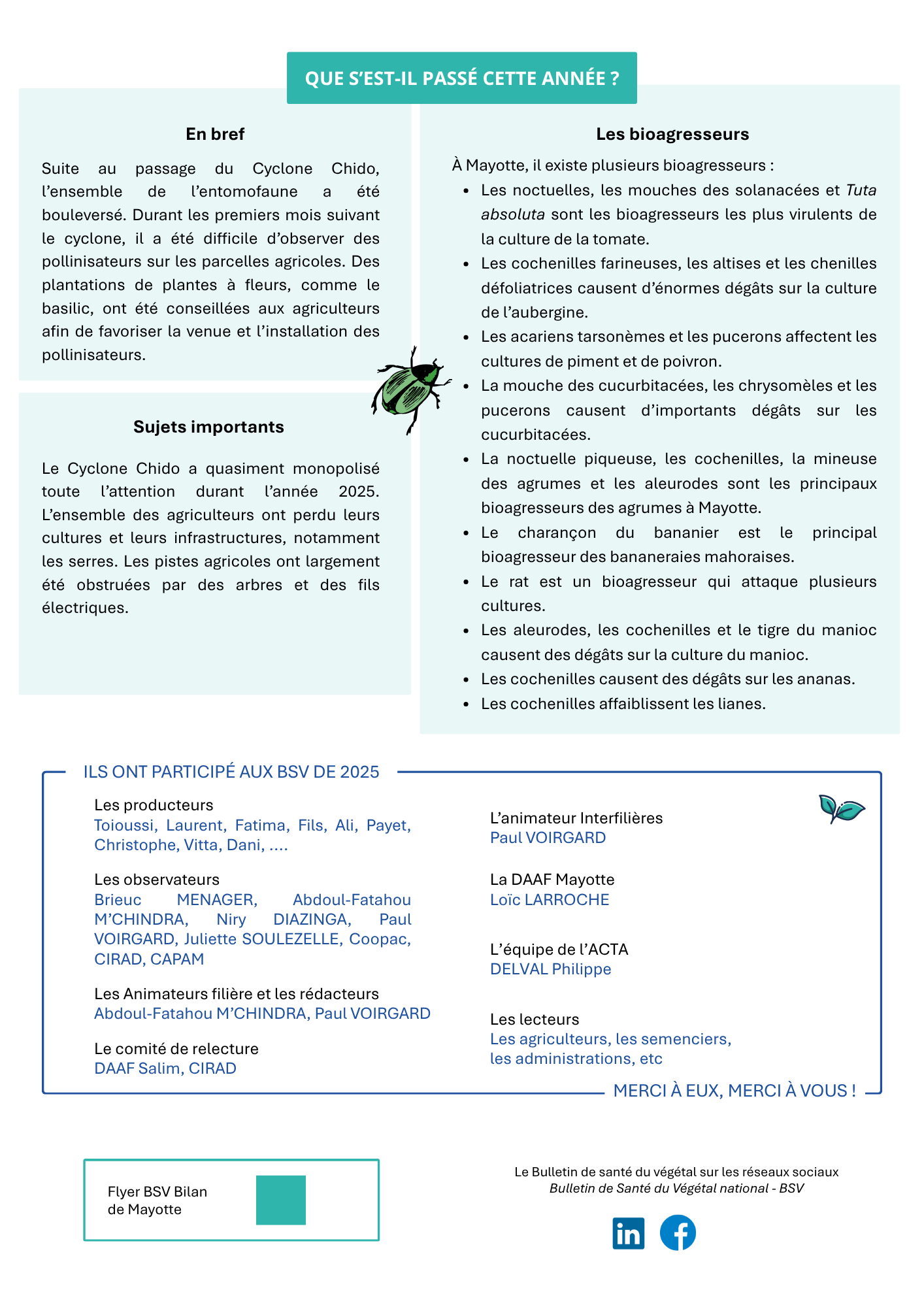 bsv bilan mayotte 2